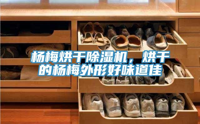 楊梅烘干除濕機,烘干的楊梅外形好味道佳