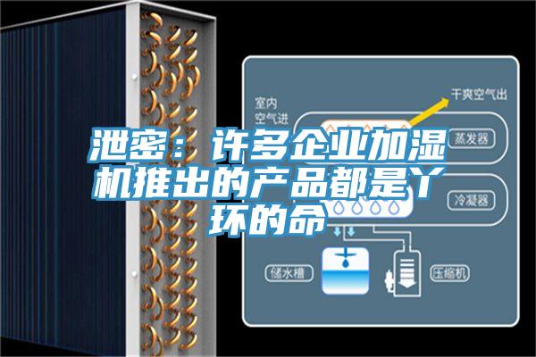 泄密：許多企業加濕機推出的產品都是丫環的命