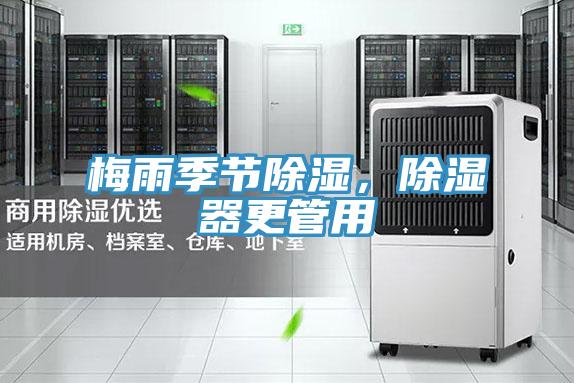 梅雨季節除濕，除濕器更管用