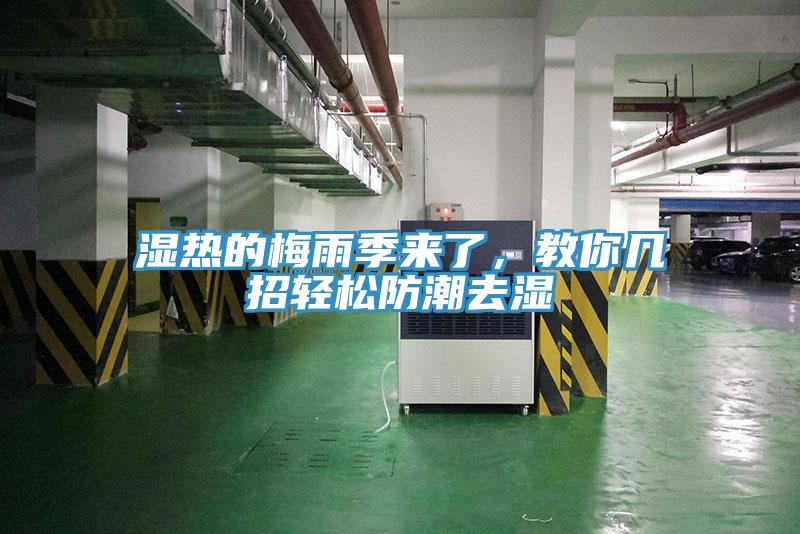 濕熱的梅雨季來了，教你幾招輕松防潮去濕