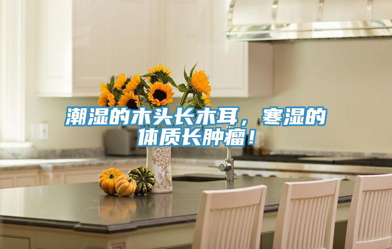 潮濕的木頭長木耳，寒濕的體質長腫瘤！