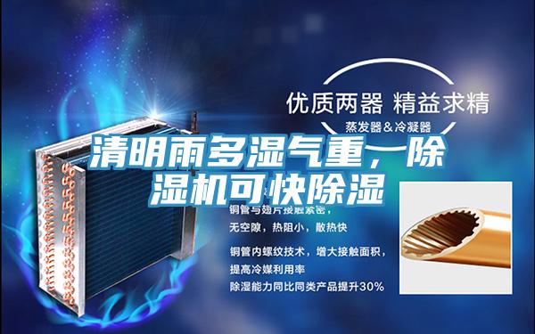 清明雨多濕氣重，除濕機可快除濕