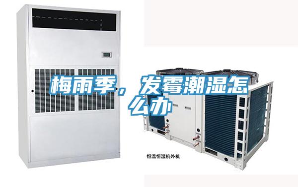 梅雨季,發(fā)霉潮濕怎么辦