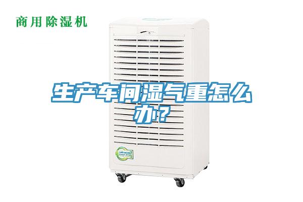 生產車間濕氣重怎么辦？