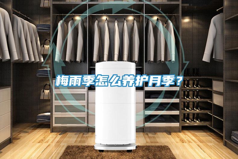 梅雨季怎么養(yǎng)護月季？