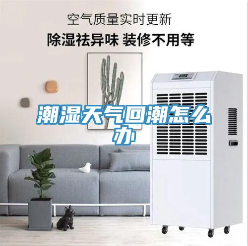 潮濕天氣回潮怎么辦