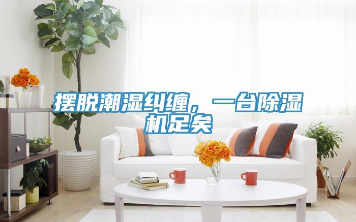 擺脫潮濕糾纏，一臺(tái)除濕機(jī)足矣