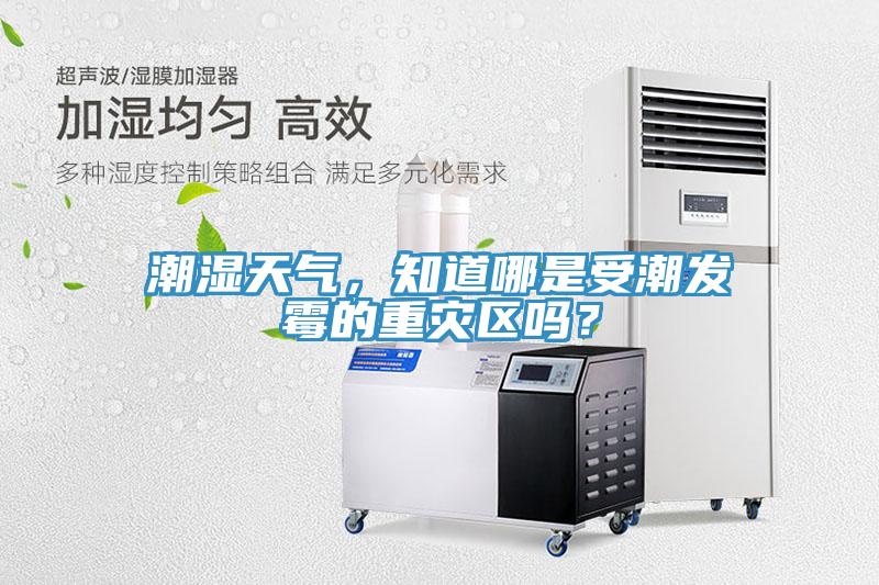 潮濕天氣,知道哪是受潮發(fā)霉的重災(zāi)區(qū)嗎?