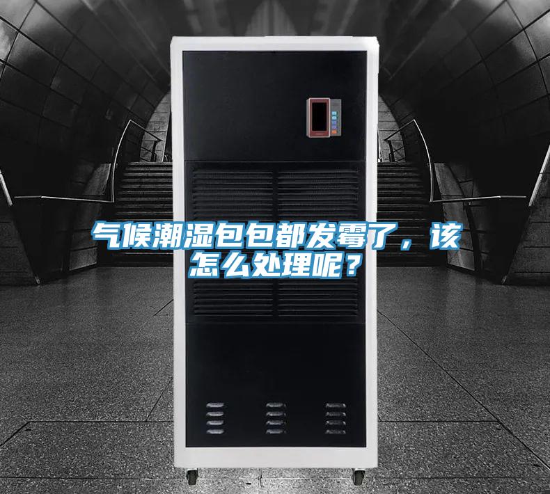 氣候潮濕包包都發霉了,該怎么處理呢?