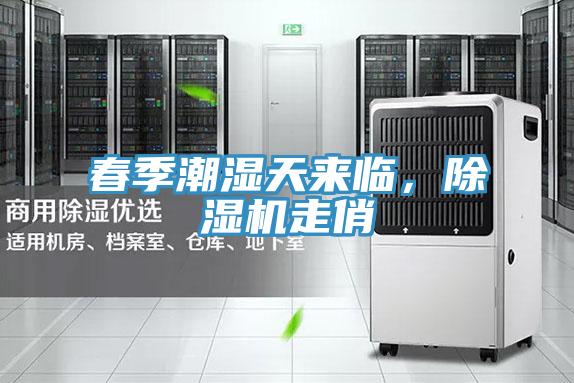 春季潮濕天來臨,除濕機走俏