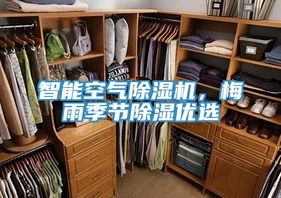 智能空氣除濕機，梅雨季節除濕優選