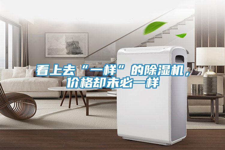 看上去“一樣”的除濕機，價格卻未必一樣