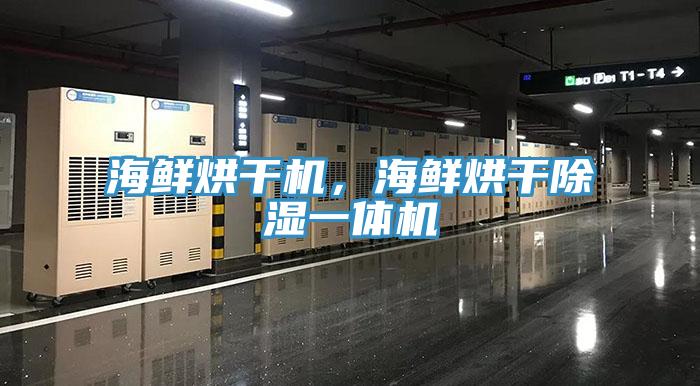 海鮮烘干機,海鮮烘干除濕一體機