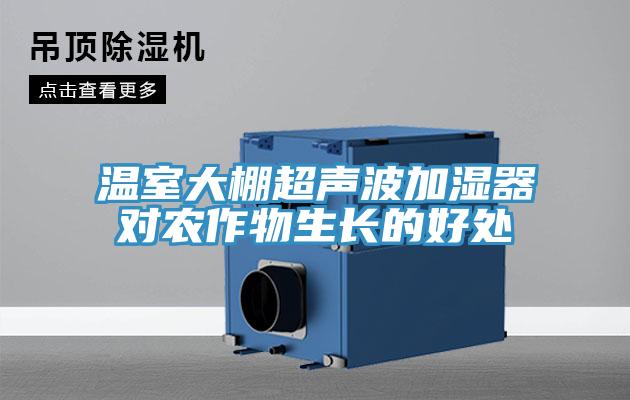 溫室大棚超聲波加濕器對(duì)農(nóng)作物生長的好處