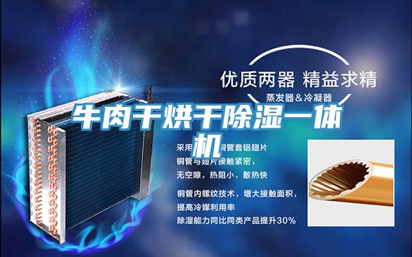 牛肉干烘干除濕一體機
