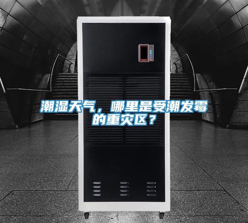 潮濕天氣，哪里是受潮發霉的重災區？