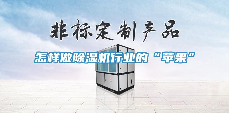 怎樣做除濕機行業的“蘋果”