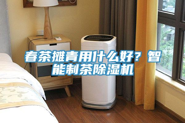 春茶攤青用什么好？智能制茶除濕機(jī)