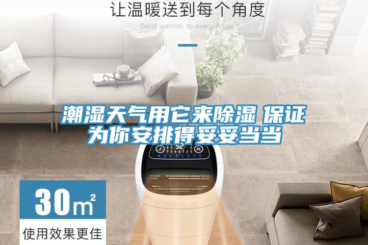 潮濕天氣用它來除濕　保證為你安排得妥妥當當