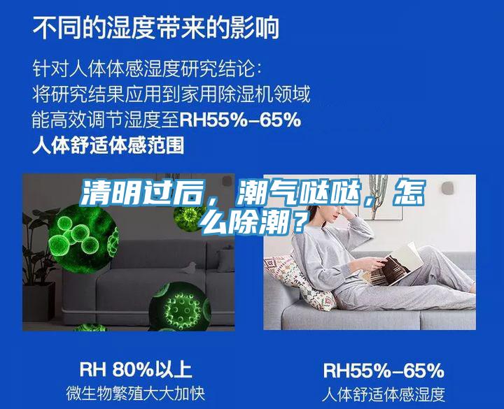 清明過后，潮氣噠噠，怎么除潮？