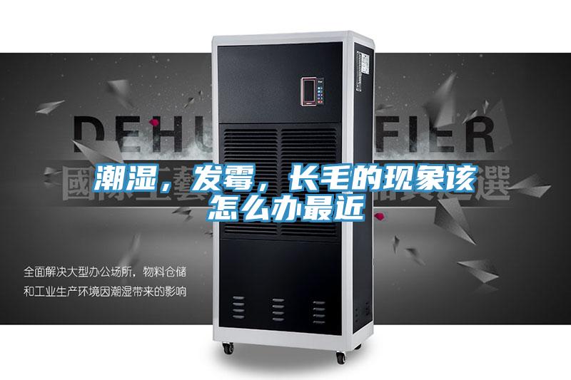 潮濕，發(fā)霉，長(zhǎng)毛的現(xiàn)象該怎么辦最近