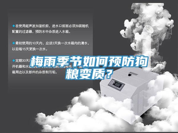 梅雨季節如何預防狗糧變質？