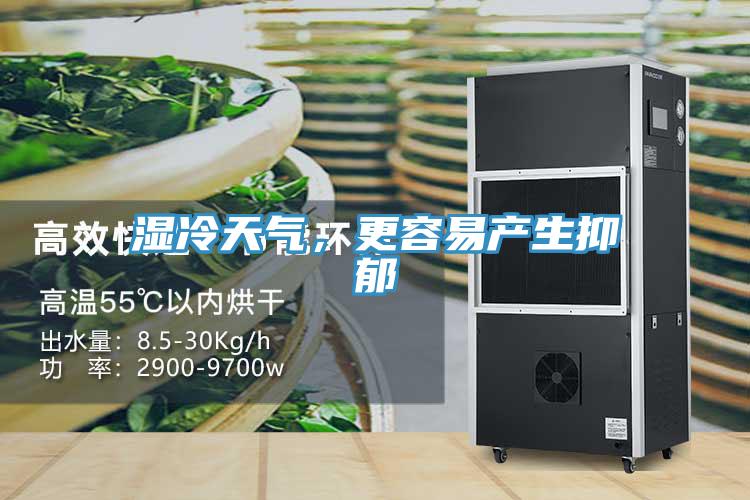 濕冷天氣，更容易產生抑郁