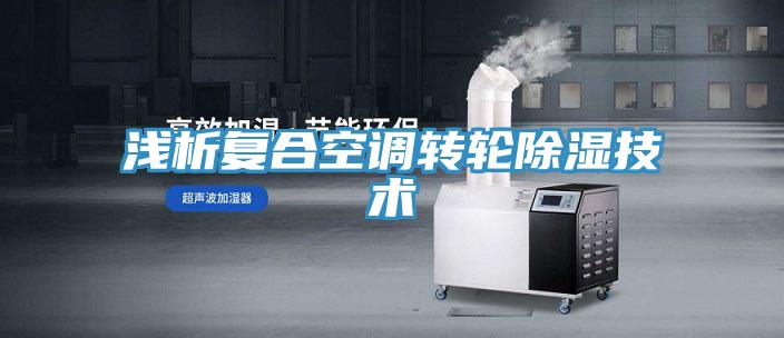 淺析復合空調轉輪除濕技術