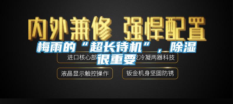 梅雨的“超長待機(jī)”,除濕很重要