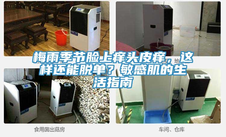 梅雨季節臉上癢頭皮癢，這樣還能脫單？敏感肌的生活指南