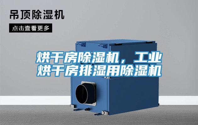 烘干房除濕機，工業烘干房排濕用除濕機