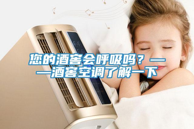 您的酒窖會呼吸嗎？——酒窖空調了解一下