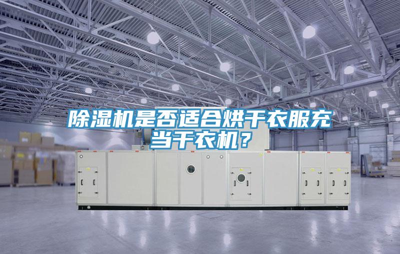 除濕機(jī)是否適合烘干衣服充當(dāng)干衣機(jī)？