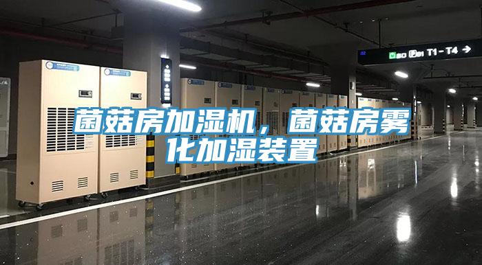 菌菇房加濕機，菌菇房霧化加濕裝置