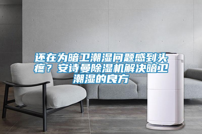 還在為暗衛潮濕問題感到頭疼?安詩曼除濕機解決暗衛潮濕的良方