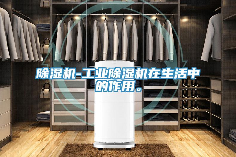 除濕機-工業(yè)除濕機在生活中的作用。