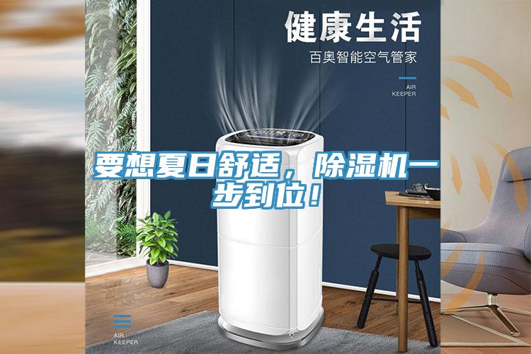 要想夏日舒適，除濕機一步到位！