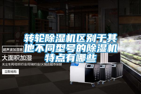 轉輪除濕機區(qū)別于其他不同型號的除濕機特點有哪些