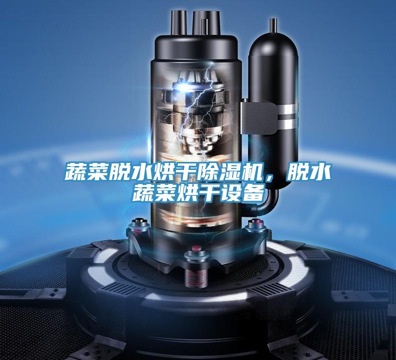 蔬菜脫水烘干除濕機(jī)，脫水蔬菜烘干設(shè)備