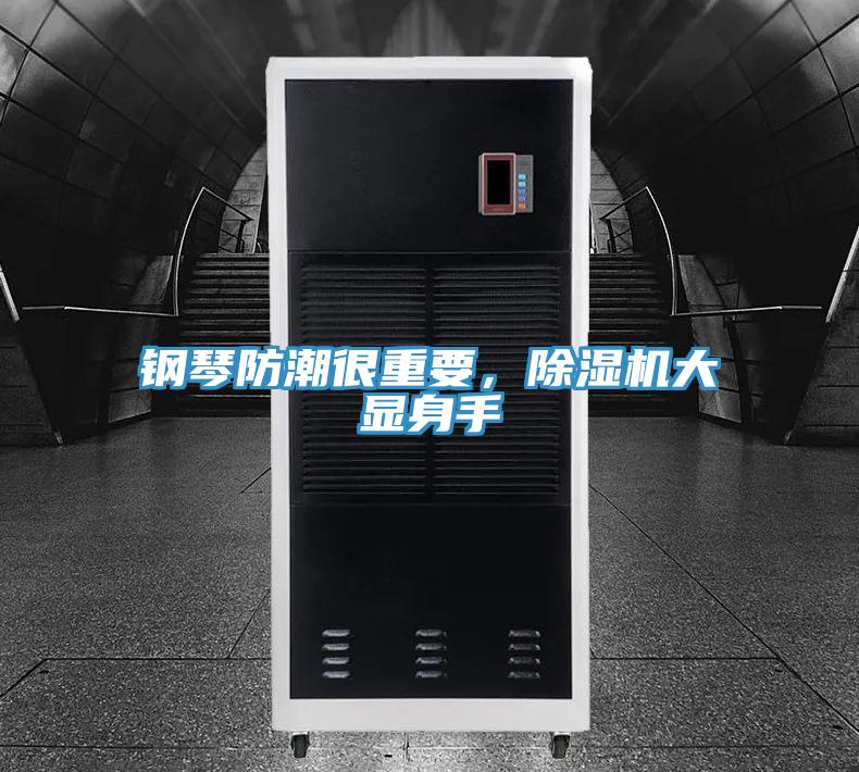 鋼琴防潮很重要,除濕機大顯身手