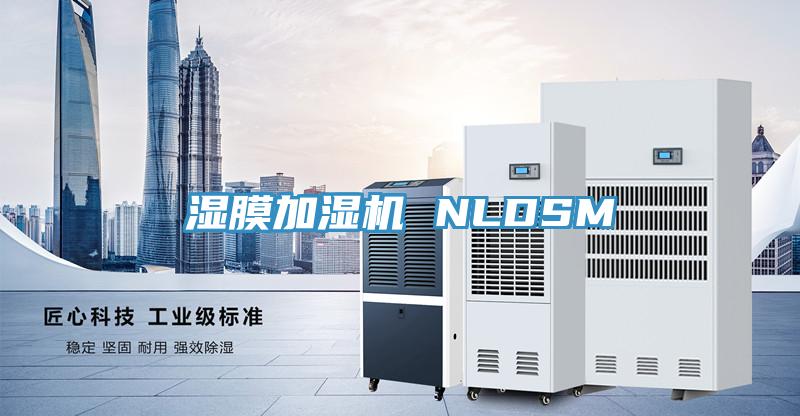 濕膜加濕機(jī) NLDSM