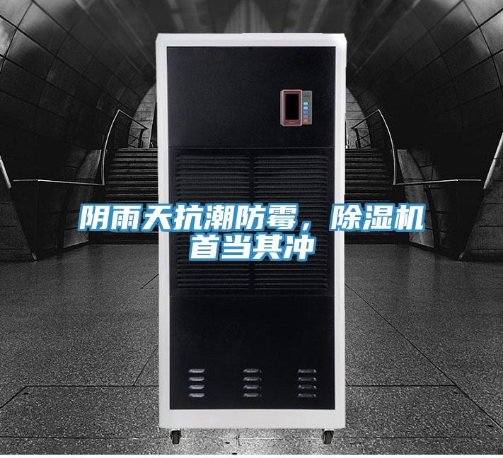 陰雨天抗潮防霉，除濕機首當其沖