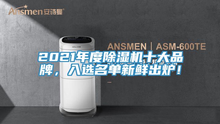 2021年度除濕機(jī)十大品牌，入選名單新鮮出爐！