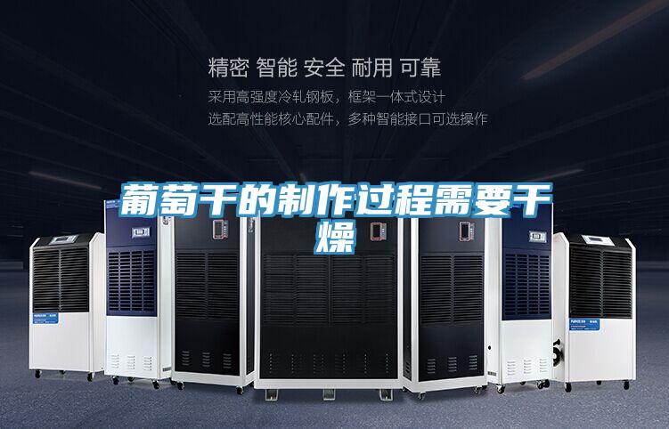 葡萄干的制作過程需要干燥
