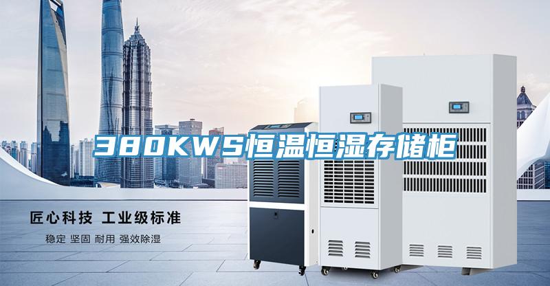 380KWS恒溫恒濕存儲柜