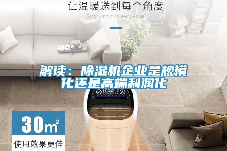 解讀：除濕機企業是規模化還是高端利潤化