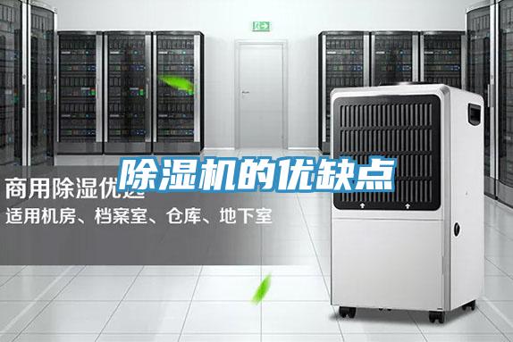 除濕機(jī)的優(yōu)缺點(diǎn)