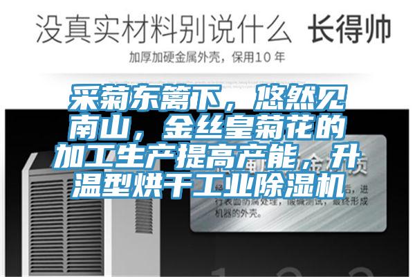 采菊東籬下，悠然見南山，金絲皇菊花的加工生產提高產能，升溫型烘干工業除濕機