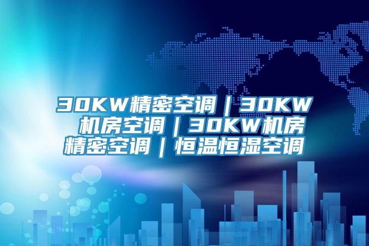 30KW精密空調｜30KW 機房空調｜30KW機房精密空調｜恒溫恒濕空調