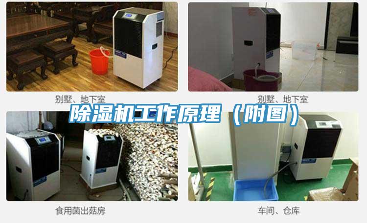除濕機工作原理（附圖）